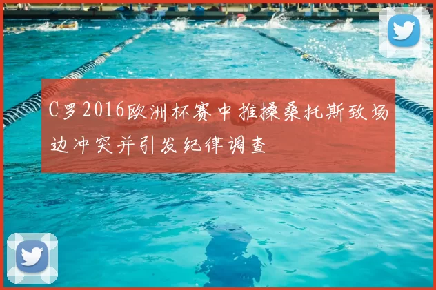 C罗2016欧洲杯赛中推搡桑托斯致场边冲突并引发纪律调查