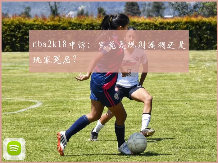 nba2k18申诉：究竟是规则漏洞还是玩家冤屈？