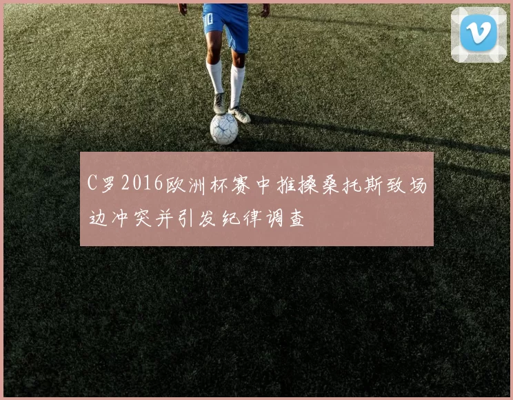 C罗2016欧洲杯赛中推搡桑托斯致场边冲突并引发纪律调查