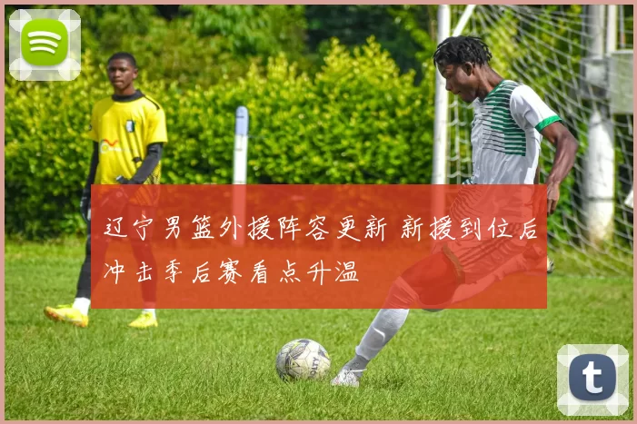 辽宁男篮外援阵容更新 新援到位后冲击季后赛看点升温