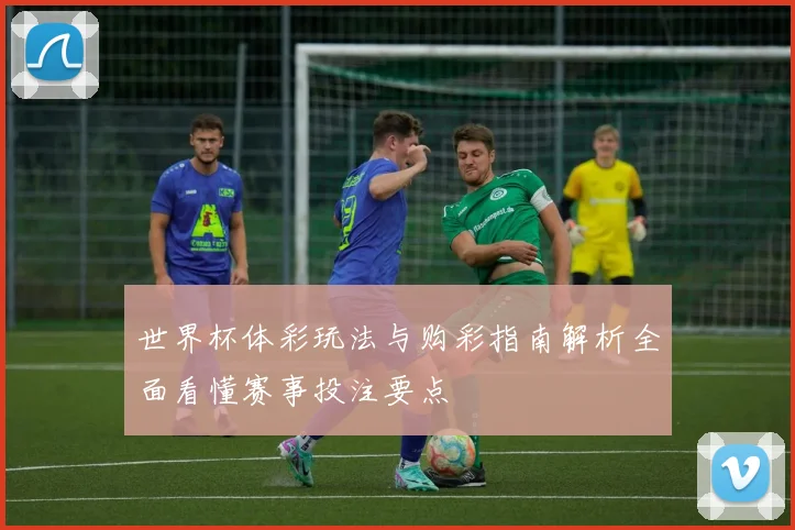 世界杯体彩玩法与购彩指南解析全面看懂赛事投注要点