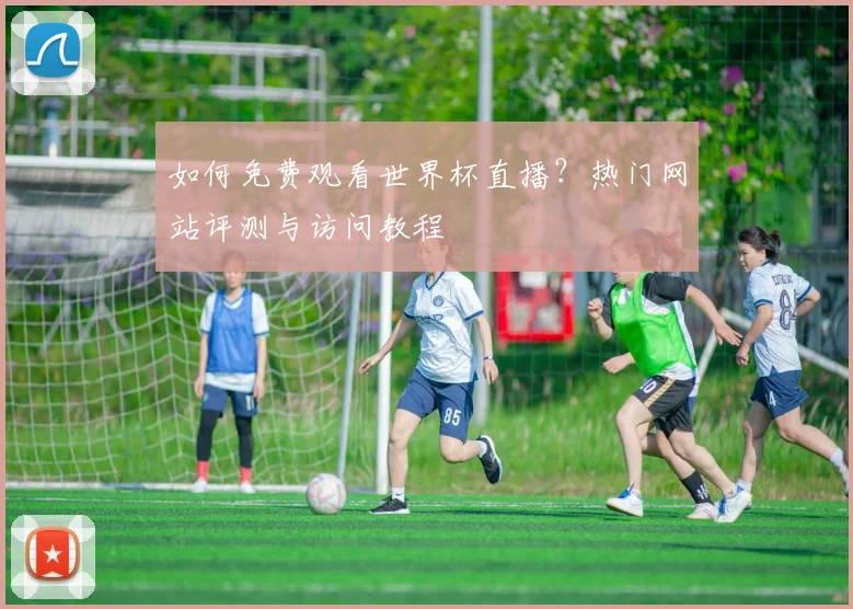 如何免费观看世界杯直播？热门网站评测与访问教程
