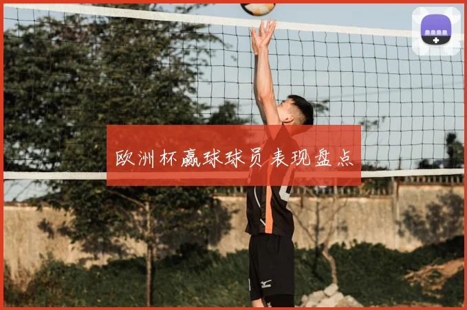 欧洲杯赢球球员表现盘点